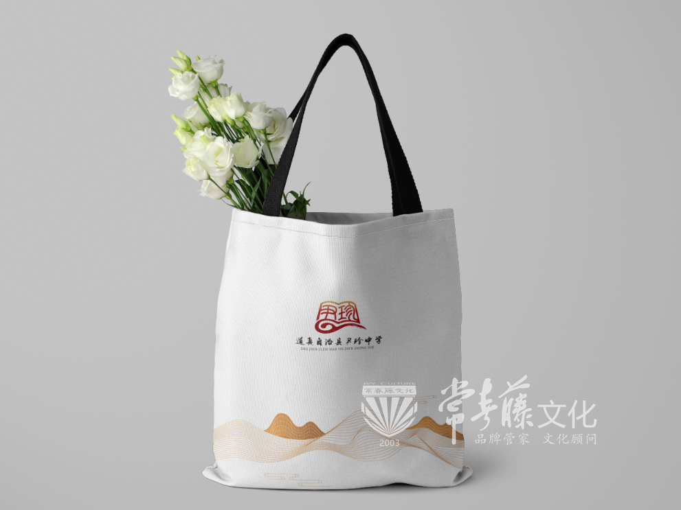 VI应用,手提袋