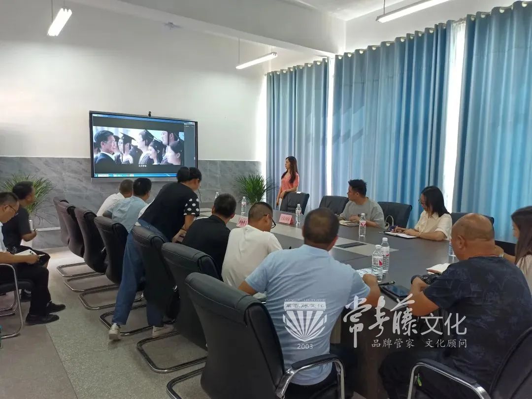 方案,汇报